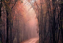 关于CBA联赛第6轮最佳阵容出炉：徐杰、萨林杰、贺希宁入选的信息